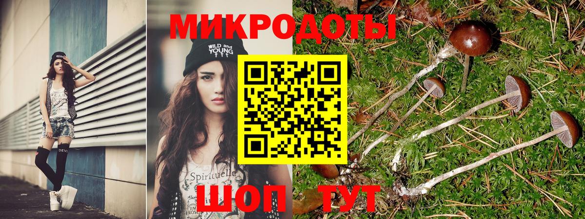 Стрежевой  Галлюциногенные грибы мухоморы  Вход с VPN 