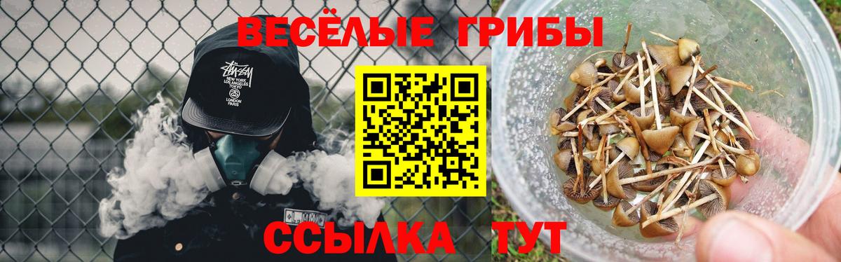 Псилоцибиновые грибы MAGIC MUSHROOMS Стрежевой